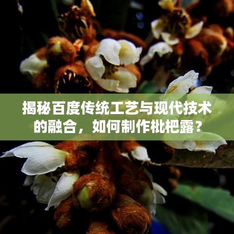 揭秘百度傳統(tǒng)工藝與現(xiàn)代技術(shù)的融合，如何制作枇杷露？