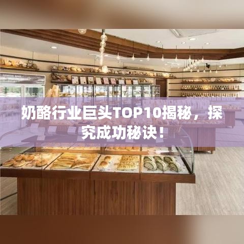 奶酪行業(yè)巨頭TOP10揭秘，探究成功秘訣！