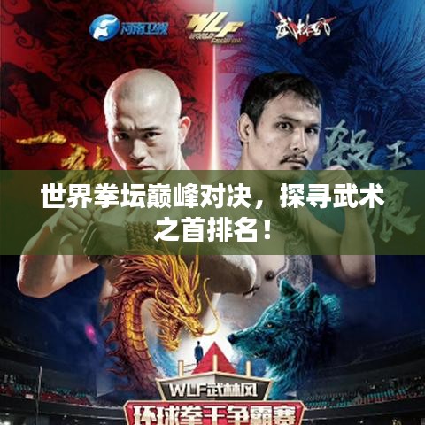 世界拳壇巔峰對(duì)決，探尋武術(shù)之首排名！