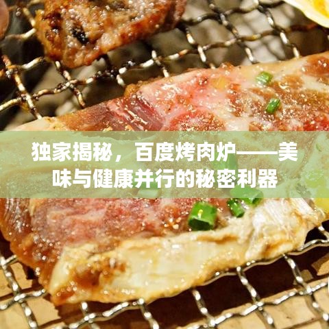 獨(dú)家揭秘，百度烤肉爐——美味與健康并行的秘密利器