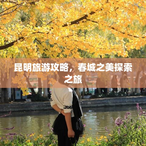 昆明旅游攻略，春城之美探索之旅