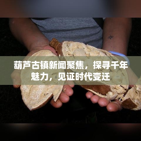 葫蘆古鎮(zhèn)新聞聚焦，探尋千年魅力，見證時(shí)代變遷