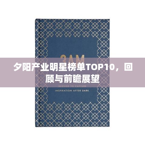 夕陽(yáng)產(chǎn)業(yè)明星榜單TOP10，回顧與前瞻展望