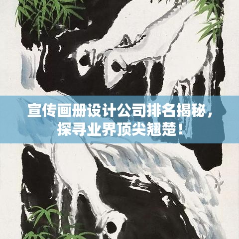 宣傳畫冊設(shè)計公司排名揭秘，探尋業(yè)界頂尖翹楚！