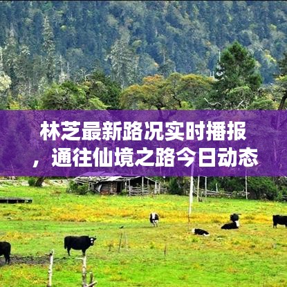 林芝最新路況實(shí)時(shí)播報(bào)，通往仙境之路今日動(dòng)態(tài)查詢表