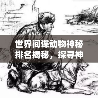 世界間諜動(dòng)物神秘排名揭秘，探尋神秘榜單背后的秘密