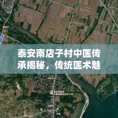 泰安南店子村中醫(yī)傳承揭秘，傳統(tǒng)醫(yī)術(shù)魅力最新視頻欣賞