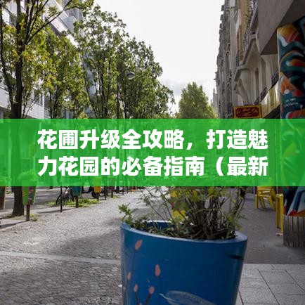 花圃升級全攻略，打造魅力花園的必備指南（最新）