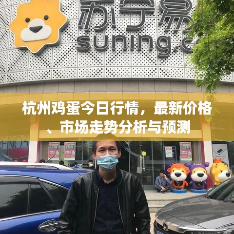 杭州雞蛋今日行情，最新價(jià)格、市場(chǎng)走勢(shì)分析與預(yù)測(cè)