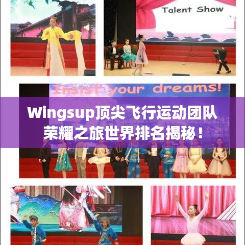 Wingsup頂尖飛行運動團(tuán)隊榮耀之旅世界排名揭秘！