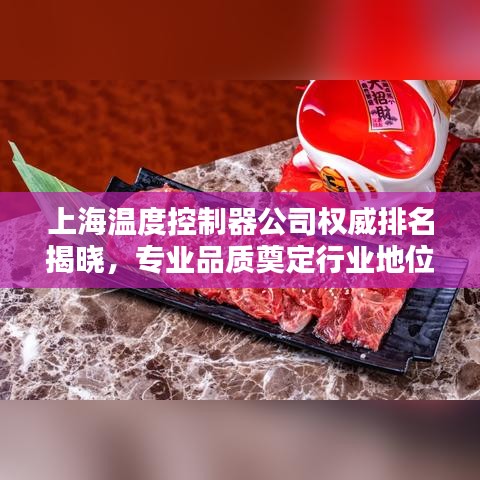 上海溫度控制器公司權(quán)威排名揭曉，專業(yè)品質(zhì)奠定行業(yè)地位