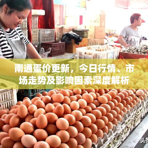 南通蛋價(jià)更新，今日行情、市場(chǎng)走勢(shì)及影響因素深度解析