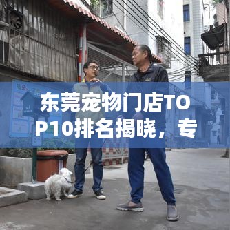 東莞寵物門店TOP10排名揭曉，專業(yè)與貼心并存的寵物服務(wù)體驗