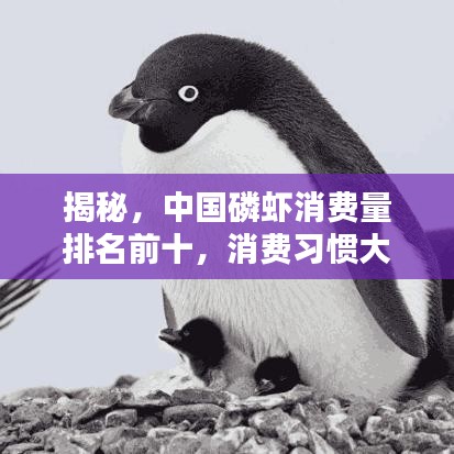 揭秘，中國磷蝦消費量排名前十，消費習(xí)慣大解析！