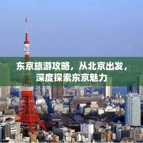 東京旅游攻略，從北京出發(fā)，深度探索東京魅力