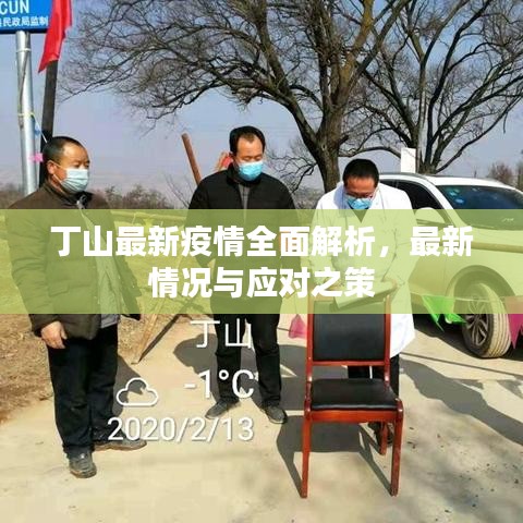 丁山最新疫情全面解析，最新情況與應(yīng)對之策