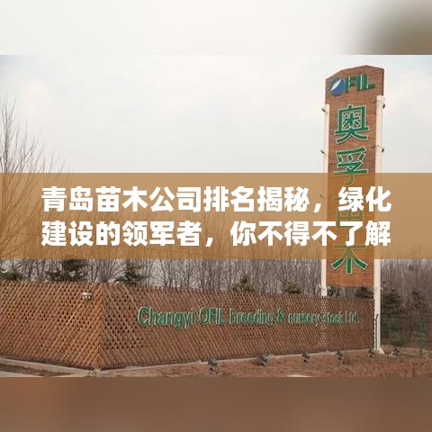 青島苗木公司排名揭秘，綠化建設(shè)的領(lǐng)軍者，你不得不了解的佼佼者！