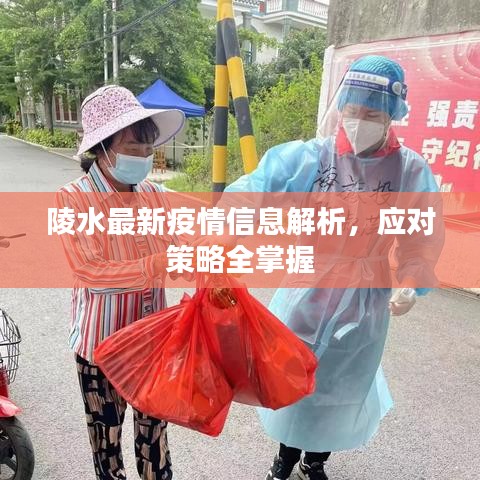 陵水最新疫情信息解析，應(yīng)對(duì)策略全掌握