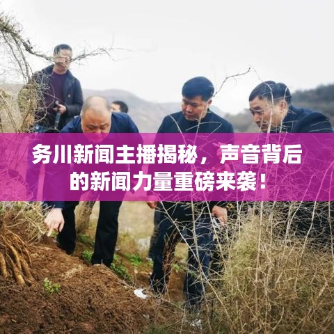 務(wù)川新聞主播揭秘，聲音背后的新聞力量重磅來襲！