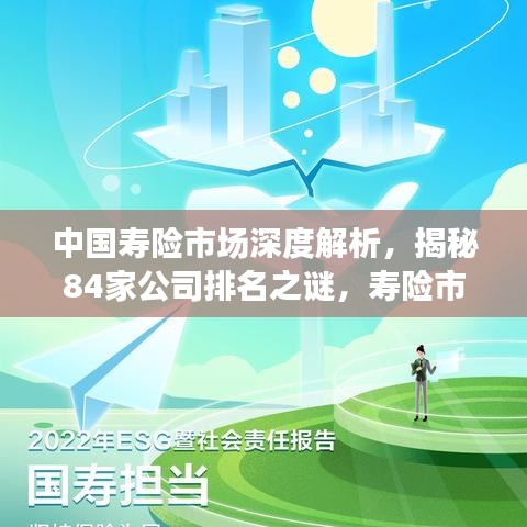 中國壽險市場深度解析，揭秘84家公司排名之謎，壽險市場格局大揭秘