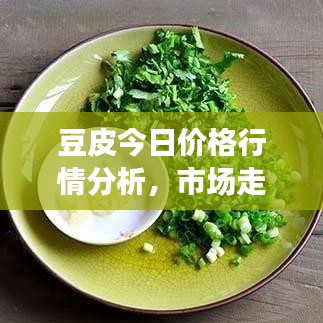 豆皮今日價格行情分析，市場走勢預(yù)測與最新動態(tài)