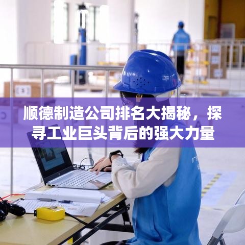 順德制造公司排名大揭秘，探尋工業(yè)巨頭背后的強(qiáng)大力量