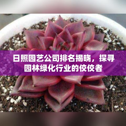 日照?qǐng)@藝公司排名揭曉，探尋園林綠化行業(yè)的佼佼者