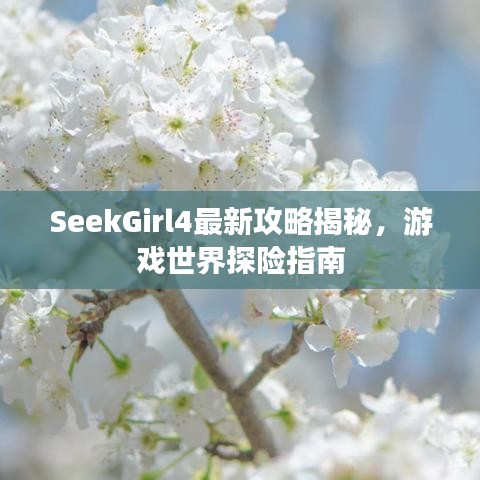 SeekGirl4最新攻略揭秘，游戲世界探險(xiǎn)指南
