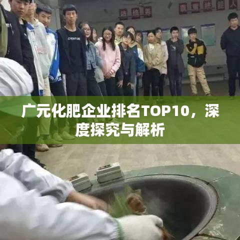 廣元化肥企業(yè)排名TOP10，深度探究與解析