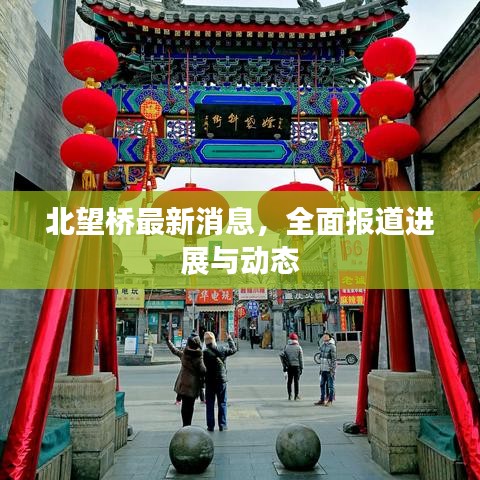 北望橋最新消息，全面報道進展與動態(tài)