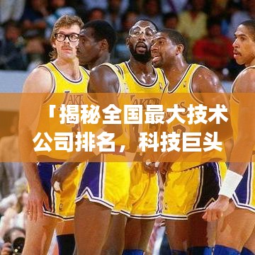 「揭秘全國(guó)最大技術(shù)公司排名，科技巨頭背后的力量角逐」