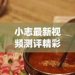 小志最新視頻測(cè)評(píng)精彩集錦，在線觀看不容錯(cuò)過(guò)