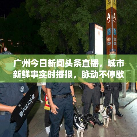 廣州今日新聞頭條直播，城市新鮮事實時播報，脈動不停歇