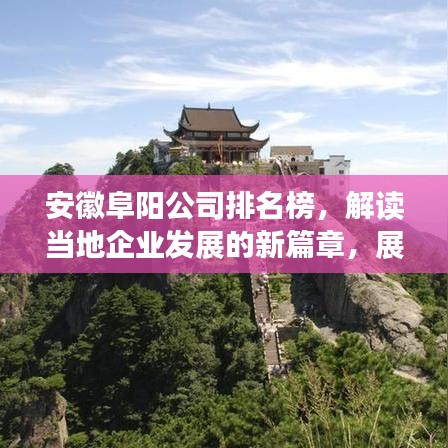 安徽阜陽公司排名榜，解讀當(dāng)?shù)仄髽I(yè)發(fā)展的新篇章，展現(xiàn)繁榮新態(tài)勢！