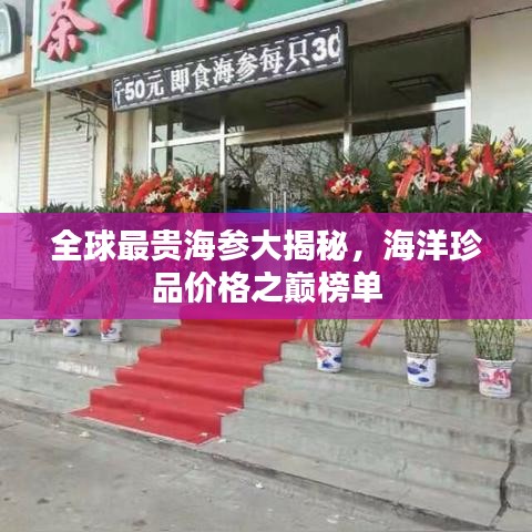 全球最貴海參大揭秘，海洋珍品價格之巔榜單