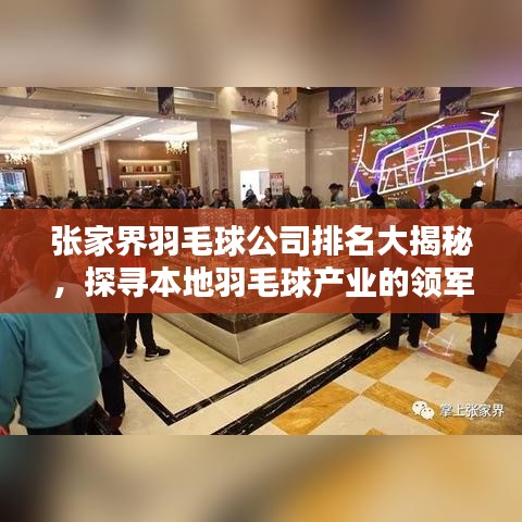 張家界羽毛球公司排名大揭秘，探尋本地羽毛球產(chǎn)業(yè)的領(lǐng)軍者
