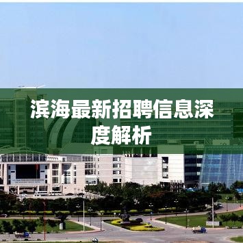 濱海最新招聘信息深度解析
