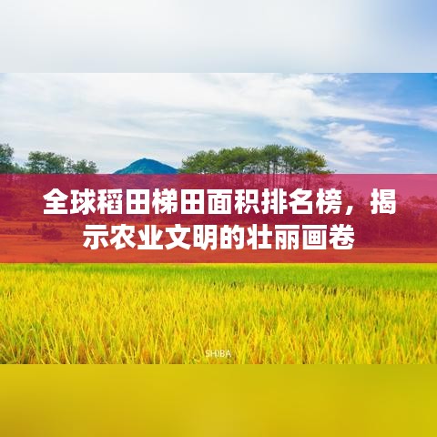 全球稻田梯田面積排名榜，揭示農(nóng)業(yè)文明的壯麗畫卷