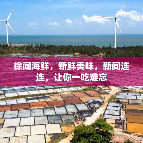 徐聞海鮮，新鮮美味，新聞連連，讓你一吃難忘