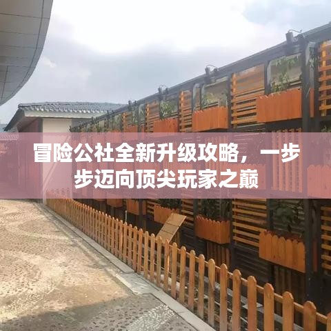 冒險(xiǎn)公社全新升級(jí)攻略，一步步邁向頂尖玩家之巔