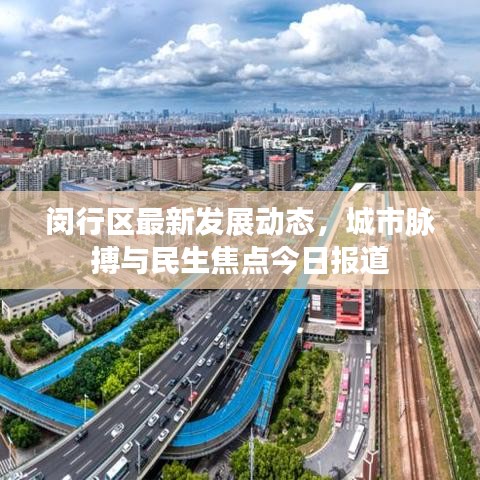 閔行區(qū)最新發(fā)展動態(tài)，城市脈搏與民生焦點今日報道