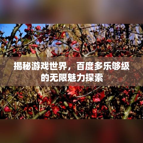 揭秘游戲世界，百度多樂(lè)夠級(jí)的無(wú)限魅力探索
