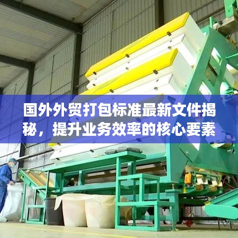 國外外貿(mào)打包標準最新文件揭秘，提升業(yè)務效率的核心要素指南