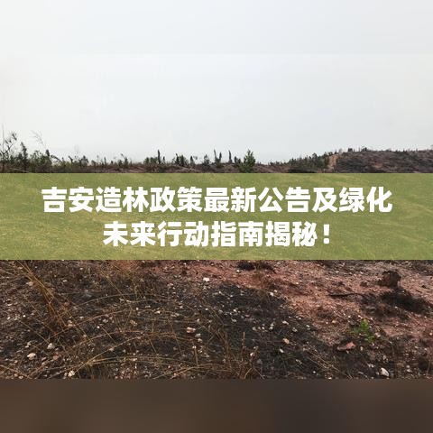 吉安造林政策最新公告及綠化未來(lái)行動(dòng)指南揭秘！
