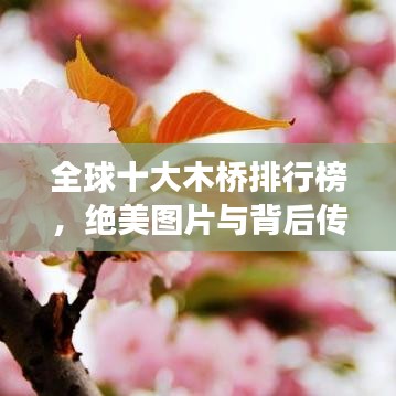 全球十大木橋排行榜，絕美圖片與背后傳奇故事揭秘