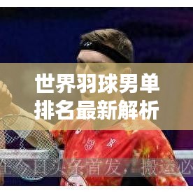 世界羽球男單排名最新解析，精英選手實(shí)力對(duì)比，排名大揭秘！