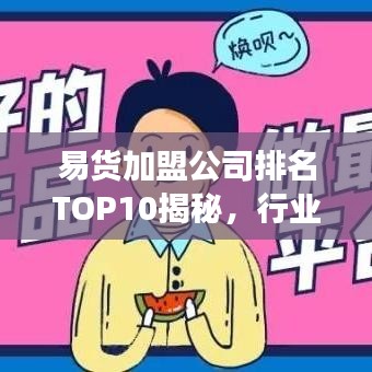 易貨加盟公司排名TOP10揭秘，行業(yè)領軍者的成功奧秘探索
