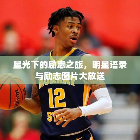 星光下的勵志之旅，明星語錄與勵志圖片大放送