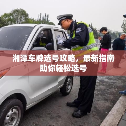 湘潭車牌選號攻略，最新指南助你輕松選號