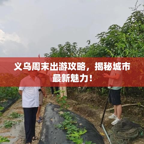 義烏周末出游攻略，揭秘城市最新魅力！